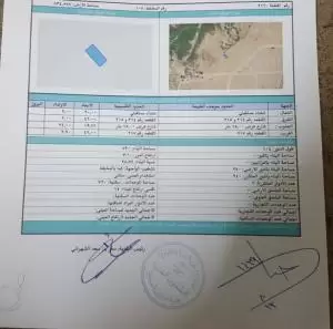 للبيع في بيش المحلة ارض للبيع في صبيا المحله