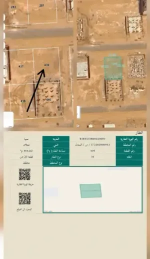 نخلان ارض للبيع صبيا نخلان