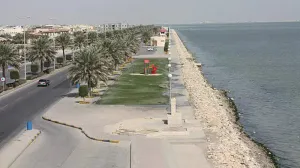 مطلوب عمال مزرعة إنتاجية للعمل في سيهات في المملكة العربية السعودية وبراتب ممتاز علمآ أن السكن متوفر