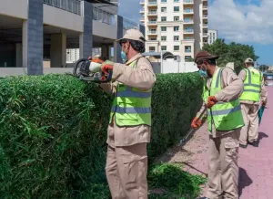 مطلوب عامل زراعي - عامل خضروات وفواكه للعمل في محميات زراعية مكشوفة براتب ممتاز