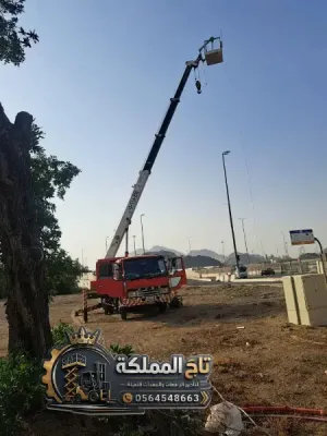 متاح الان « كرين للايجار في الدمام - سفتي كامل