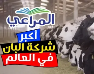 عدد كبير من الوظائف في شركة المراعي في جميع محافظات ومدن المملكة العربية السعودية وبرواتب ممتازة