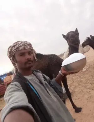 موجود راعي ابل سوداني