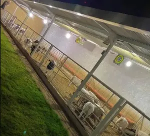 مطلوب عامل مزرعة وتربية مواشي للعمل في مزرعة نموذجية إنتاجية في السعودية براتب جيد - الطعام متوفر والسكن متوفر في المزرعة