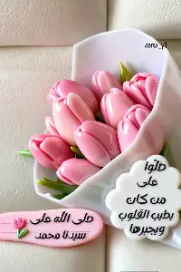قصة محمد احمد بيومى محمد